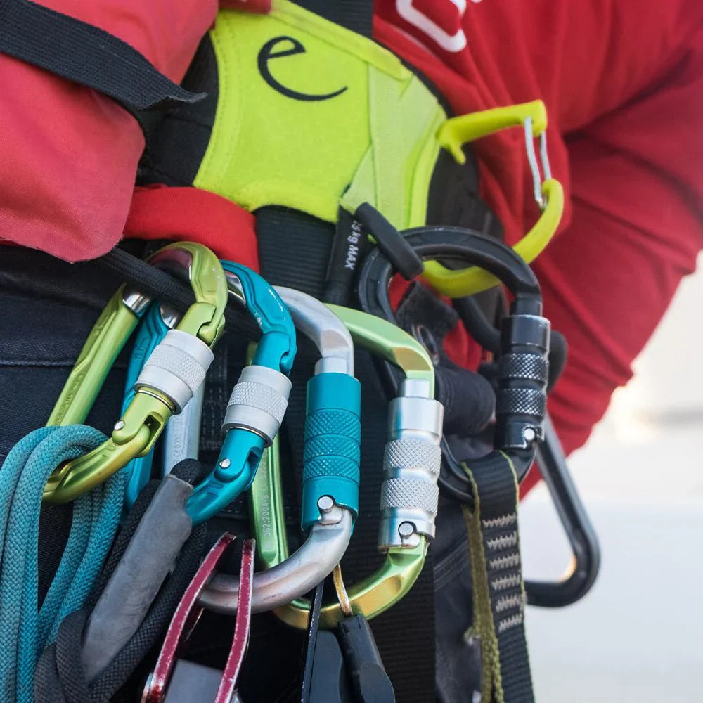 Snapgate carabiners