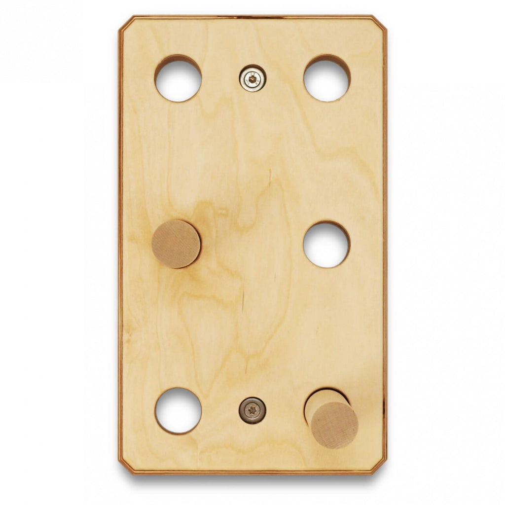  Ant Hill - Training Board