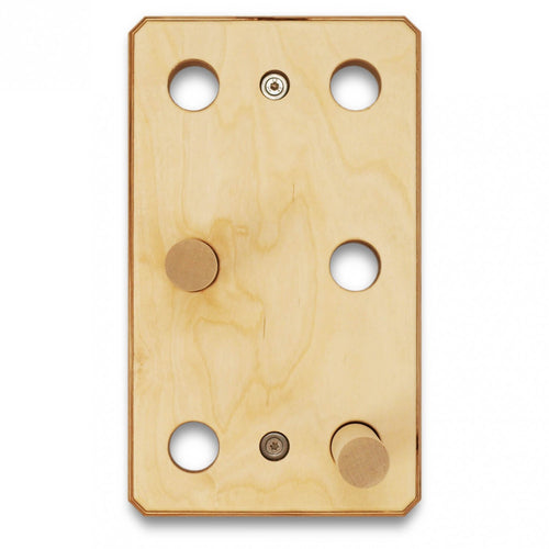  Ant Hill - Training Board