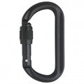 AustriAlpin Ovalo GI Schraubverschluss - Locking Carabiner