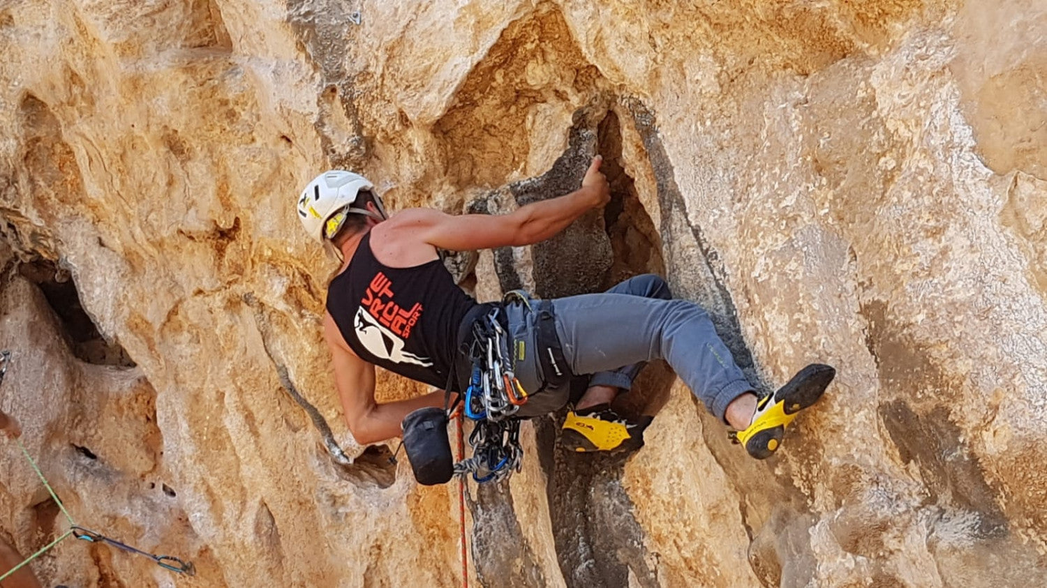Beal Tiger 10 Mm Golden Dry - Single Rope