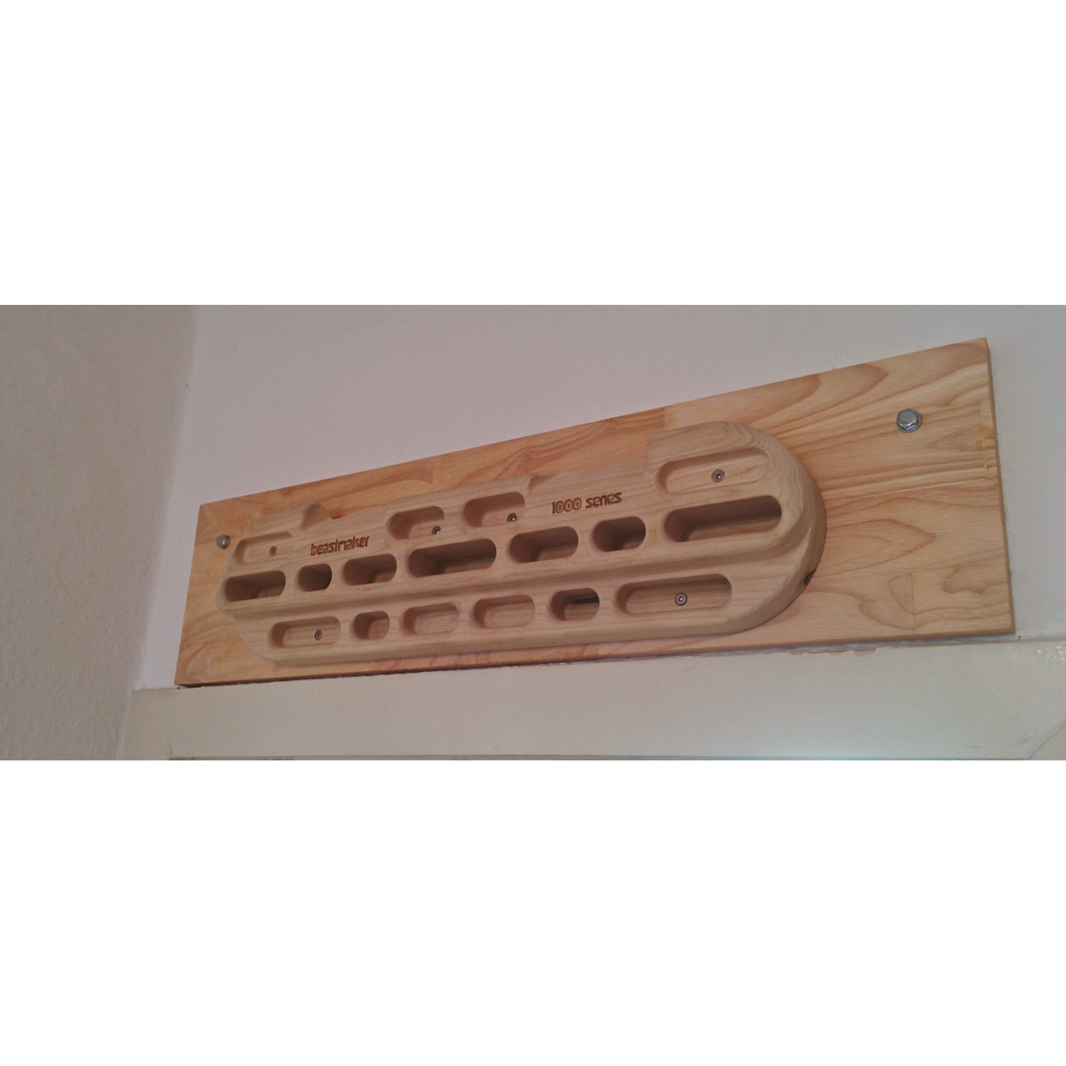  1000 Series - Training Board