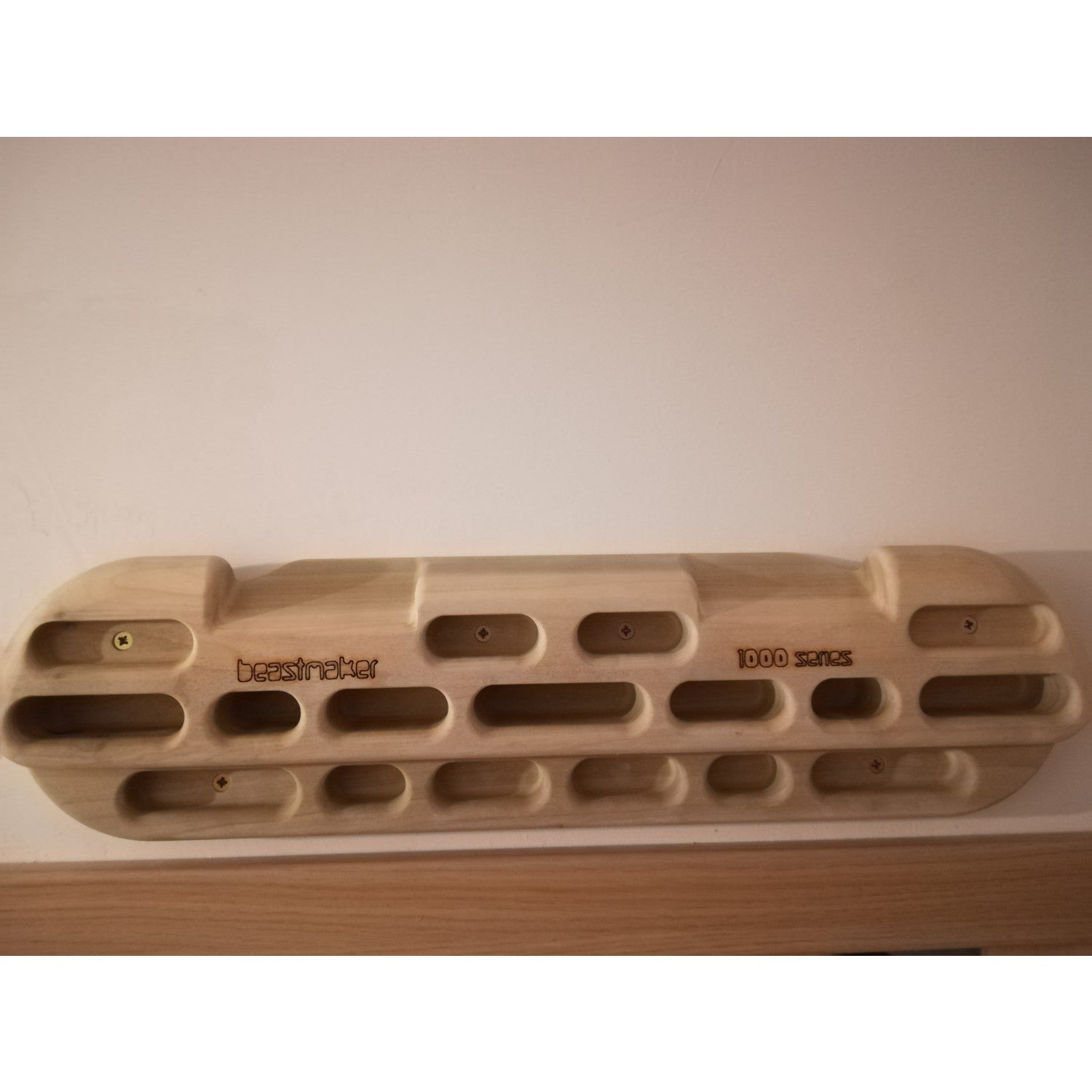  1000 Series - Training Board