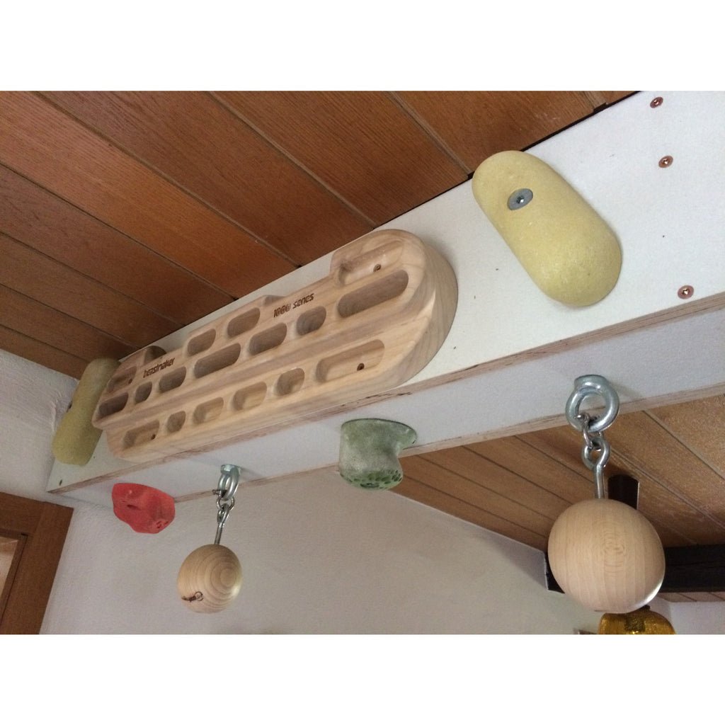 1000 Series - Training Board