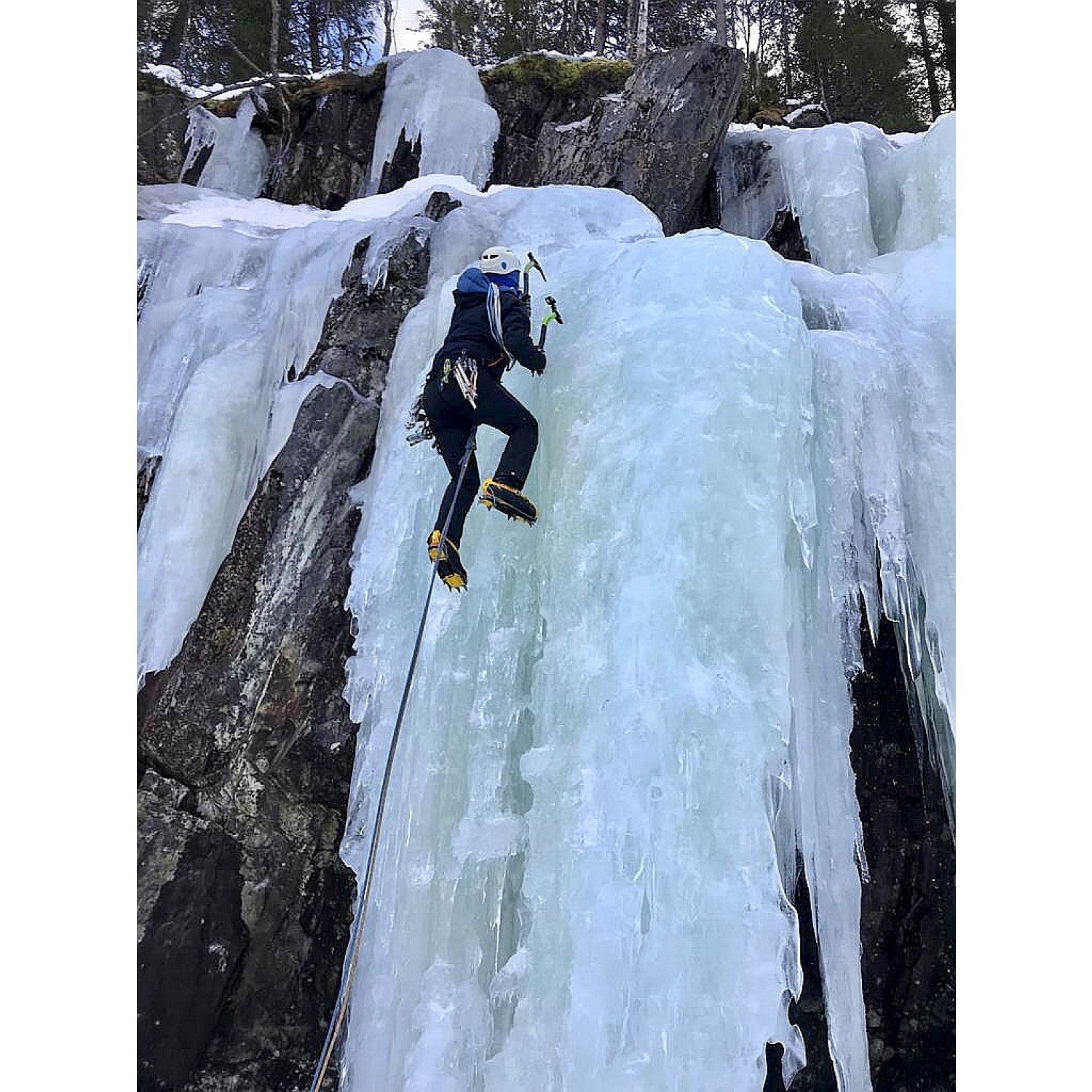 Black Diamond Alpine Bod - Climbing Harness
