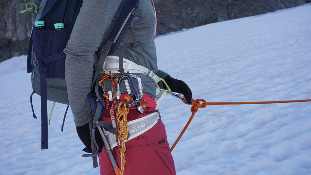 Edelrid Prisma Guide - Climbing Harness
