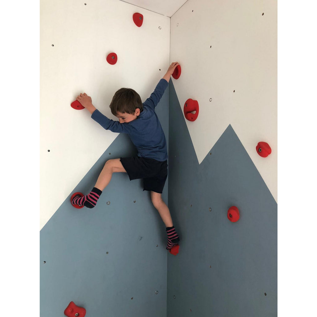  Set 1 - Set Of 22 Climbing Holds S-XL