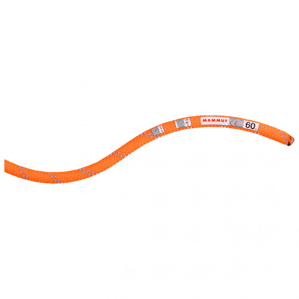 Mammut 9.5 Alpine Dry Rope - Single Rope