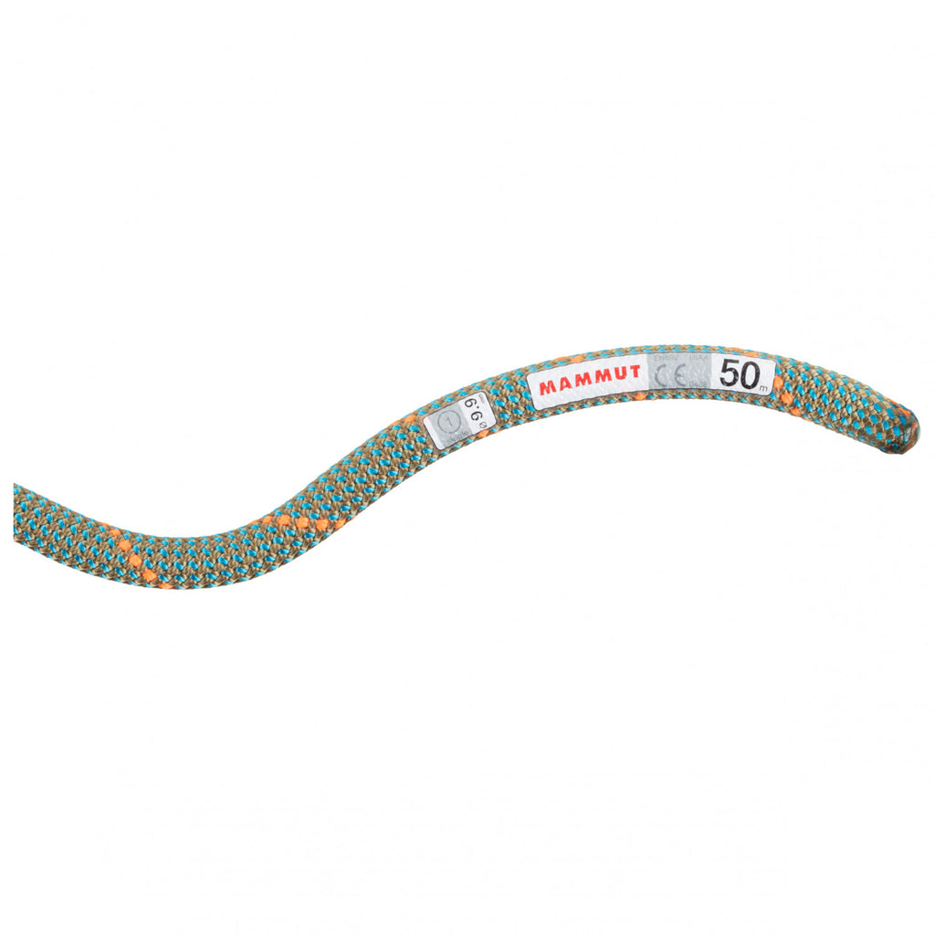 Mammut 9.9 Crag Workhorse Dry Rope - Single Rope