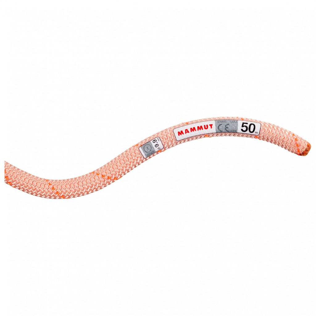 Mammut 9.9 Gym Workhorse Classic Rope - Single Rope
