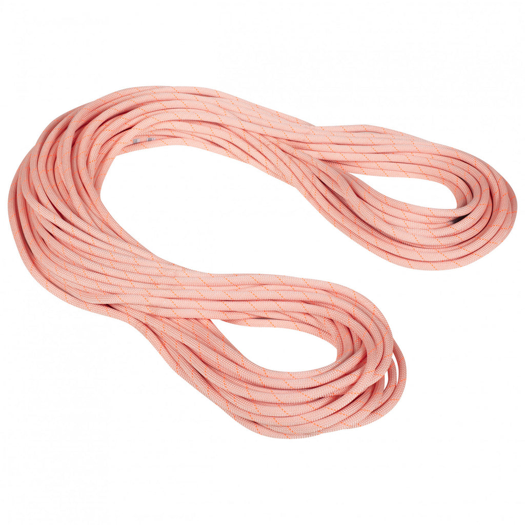 Mammut 9.9 Gym Workhorse Classic Rope - Single Rope