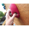 Metolius Modular 15 Pack All American - Climbing Holds