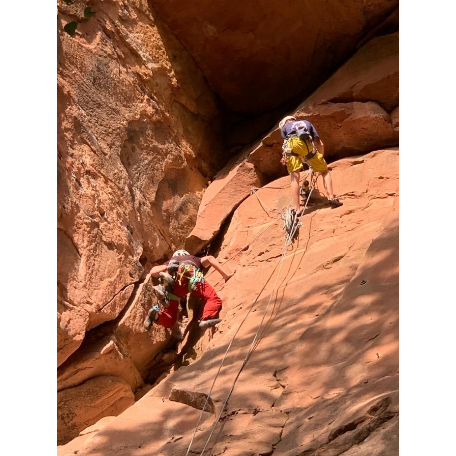 Petzl Meteor Helmet - Climbing Helmet