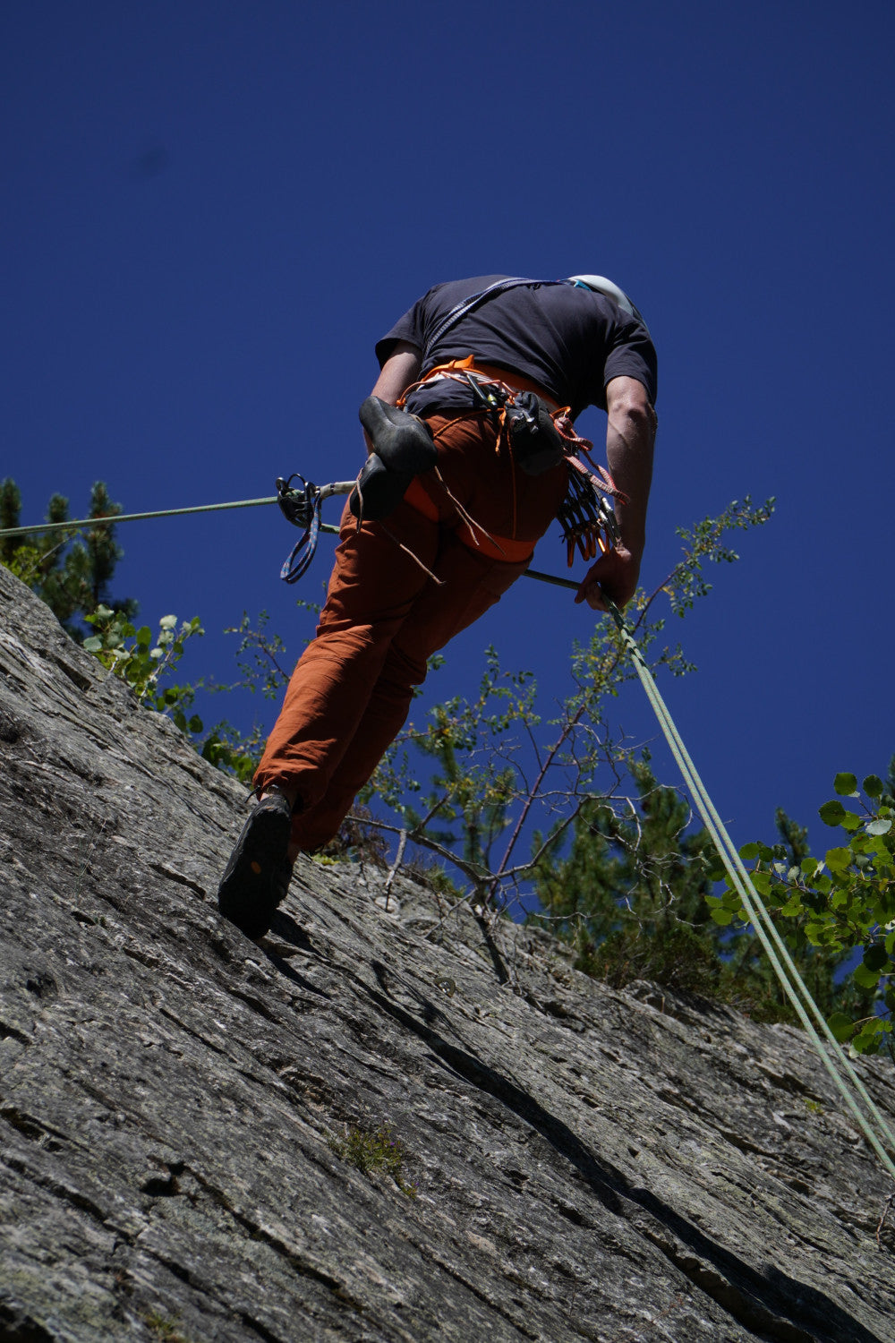 Petzl Sitta - Climbing Harness