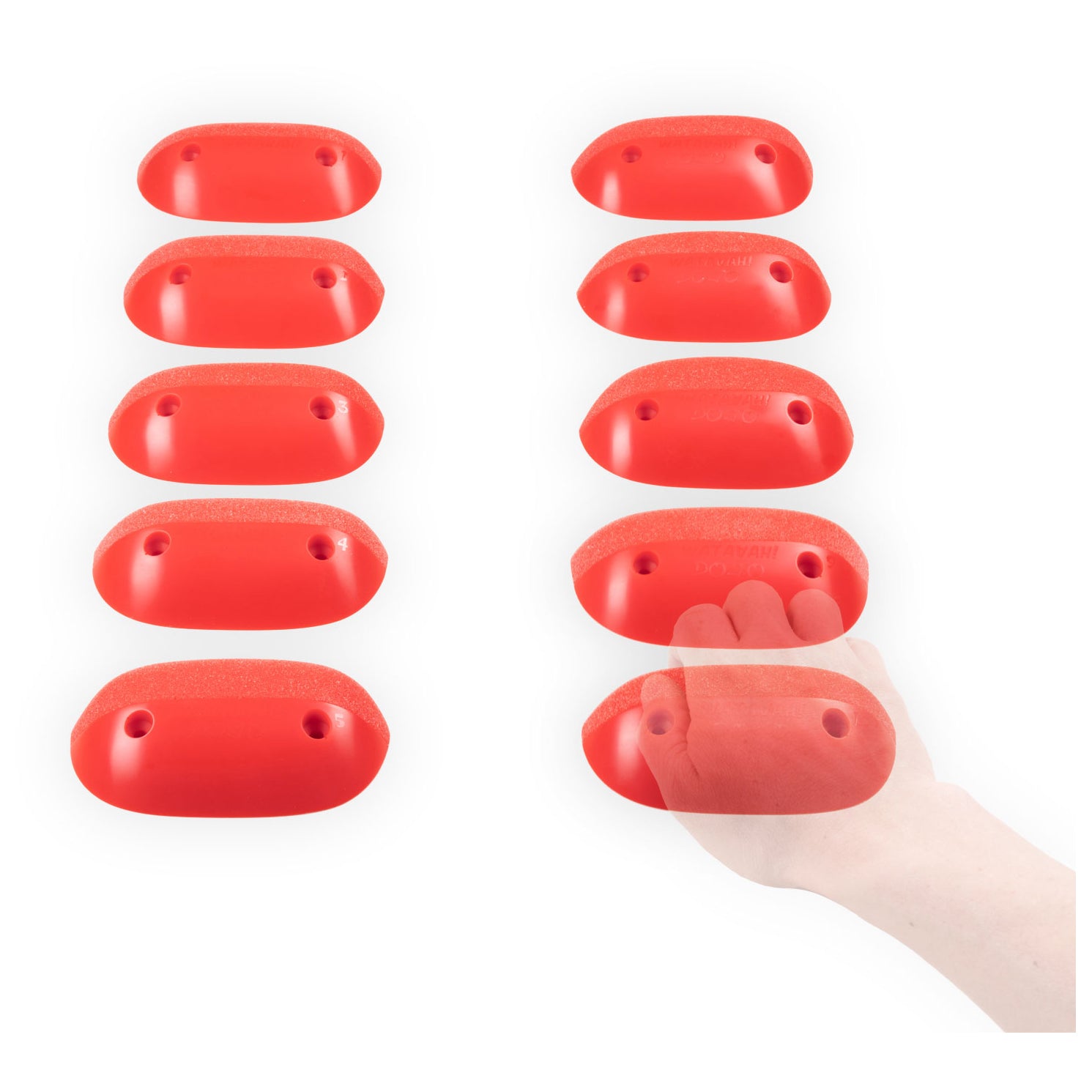  Dojo 2 - Climbing Holds