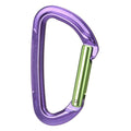 Wild Country Session Straight Gate - Snapgate Carabiner