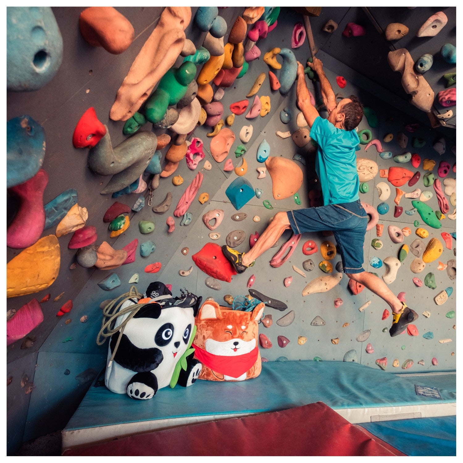 YY Vertical Chalk Bag Giant Shiba - Chalk Bag